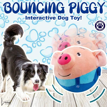 PupMotion™ Bouncing Buddy